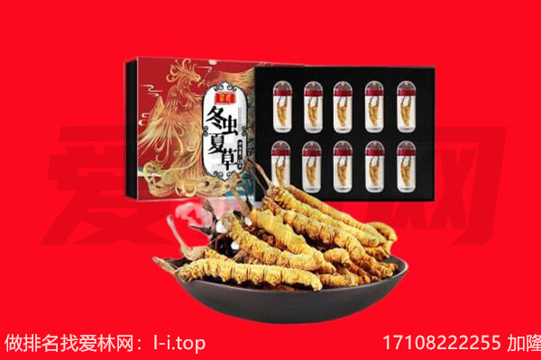 安阳北关区回收虫草.jpg